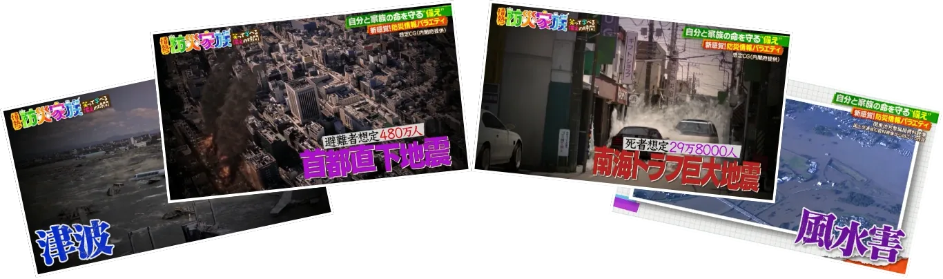 首都直下地震（避難者想定480万人）、南海トラフ巨大地震（死者想定29万8000人）、津波、風水害